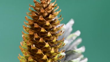 Çam kozalaklarının yakın plan Noel videosu.