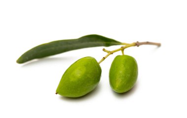 A branch with olives isolated on a white background