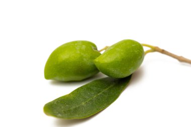 A branch with olives isolated on a white background