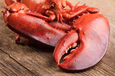 Ahşap arka planda kırmızı haşlanmış ıstakoz.