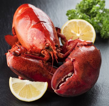 Taze maydanoz ve limonlu tam kırmızı ıstakoz.