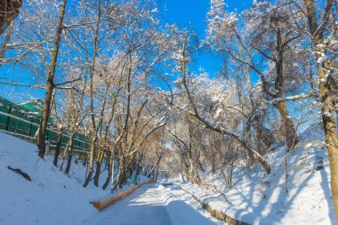 Almaty 'de kışın parktaki boş sağlık yolu (terrenkur). Kazakistan