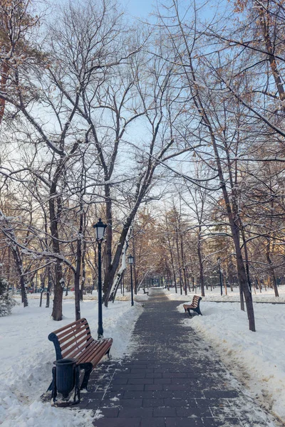 Pusta Alejka Parku Zimą — Zdjęcie stockowe