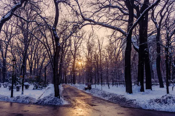 Zachód Słońca Pustym Parku Zimie — Zdjęcie stockowe