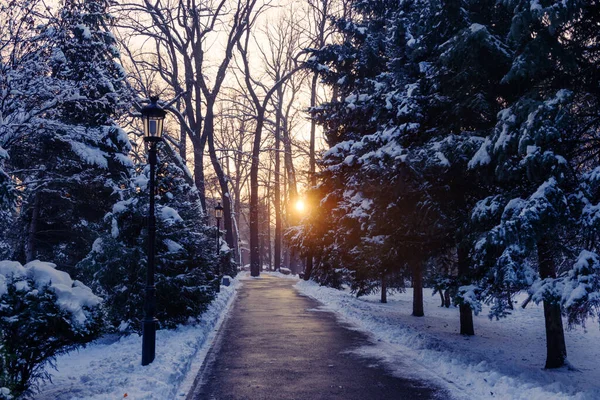 Pôr Sol Vazio Parque Inverno — Fotografia de Stock