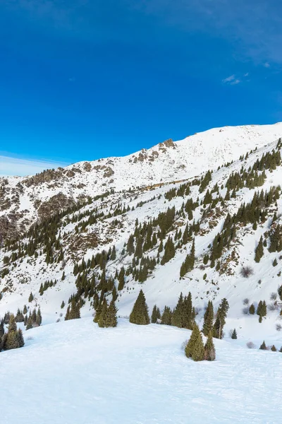 View Mountains Shymbulak Ski Resort Snow Mountains Almaty — Stock Photo, Image