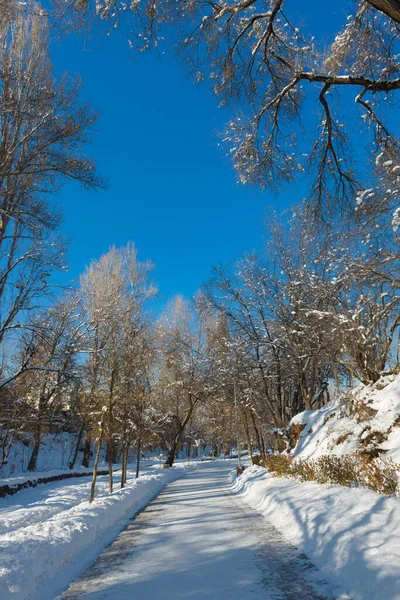 Camino Salud Vacío Terrenkur Parque Invierno Almaty Kazajstán —  Fotos de Stock