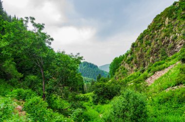 Yazın güzel dağ manzarası