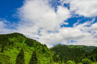 Yazın güzel dağ manzarası