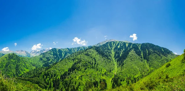 Piękny Krajobraz Górski Lecie — Zdjęcie stockowe