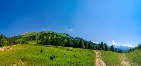 Schöne Berglandschaft Sommer Mit Wanderweg — Stockfoto