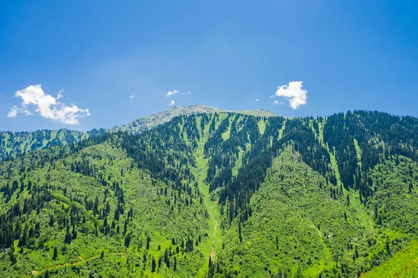 Schöne Berglandschaft Sommer — Stockfoto