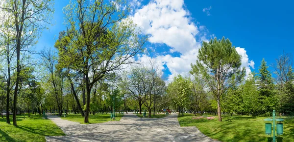 Panorama Över Vacker Park Podgorica Montenegros Huvudstad — Stockfoto