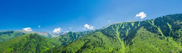 Красивий Гірський Пейзаж Влітку Стокове Фото