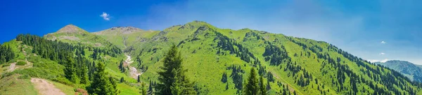 Schöne Berglandschaft Sommer Stockfoto