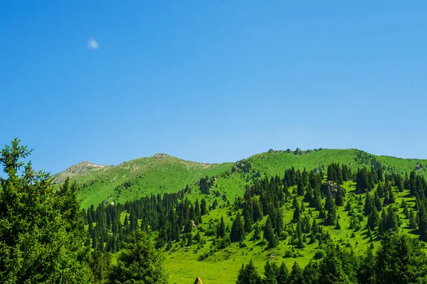 Schöne Berglandschaft Sommer lizenzfreie Stockfotos