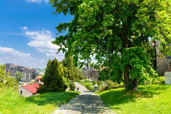Vacker Kalemegdan Park Belgrad Serbien Stockbild