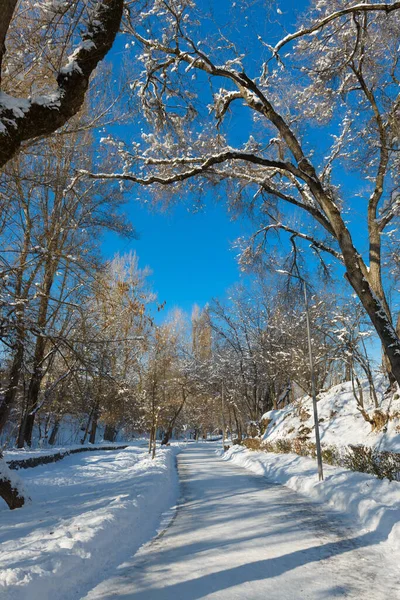 Camino Salud Vacío Terrenkur Parque Invierno Almaty Kazajstán —  Fotos de Stock