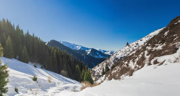 Kışın Dağların Güzel Manzarası Muhteşem Dağ Manzarası — Stok fotoğraf