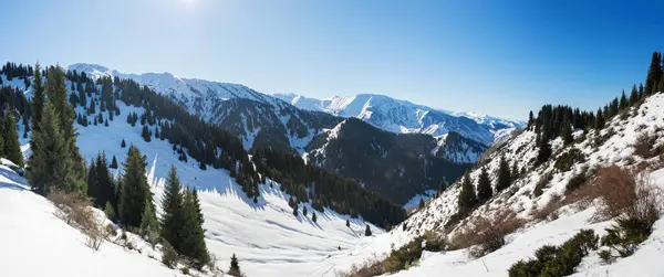 Kışın Dağların Güzel Manzarası Muhteşem Dağ Manzarası — Stok fotoğraf