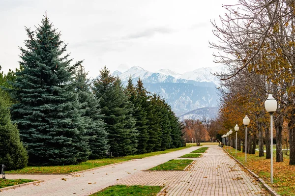 秋天的公园 背景是高山 阿拉木图 哈萨克斯坦 免版税图库图片