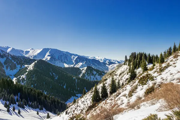 Schöne Aussicht Auf Die Berge Winter Herrliche Berglandschaft Stockbild