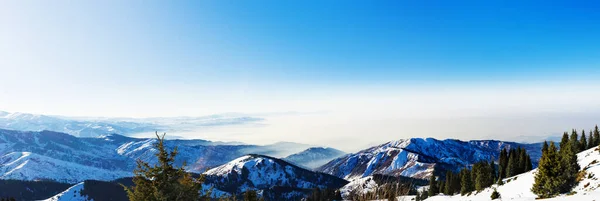 Schöne Aussicht Auf Die Berge Winter Herrliche Berglandschaft Stockfoto