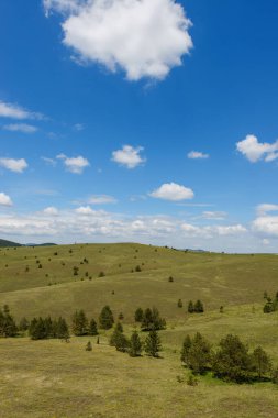 Yeşil tepeler mavi gökyüzüne karşı Yazın beyaz bulutlar güneşli bir günde