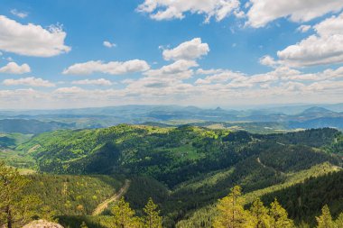 Zlatibor yakınlarındaki Picturesque dağları. Yazın dağlık bölgedeki ormanın manzarası bulutlu mavi gökyüzü