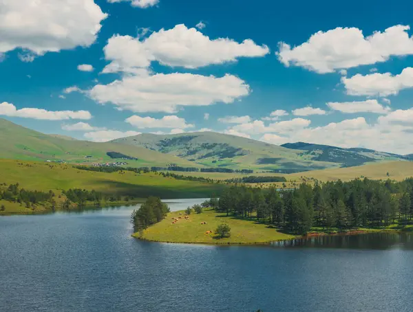 stock image Beautiful summer landscape with Lake Ribnica 