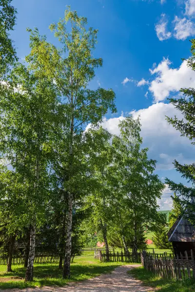 Kırsal bir yol, yemyeşil ve panoramik manzaralı huzurlu bir köyün içinden geçiyor.