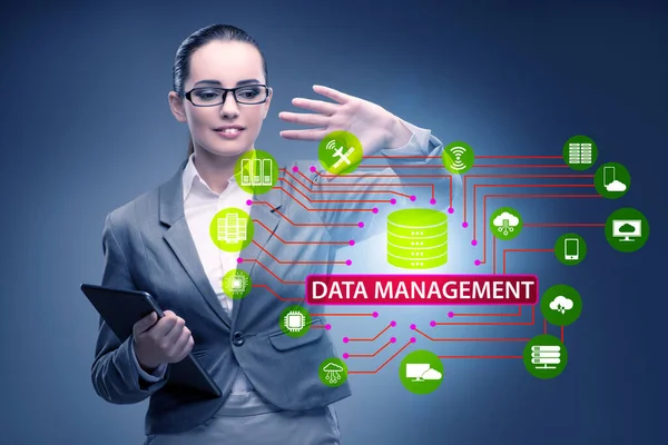 Geschäftsleute Datenmanagementkonzept — Stockfoto