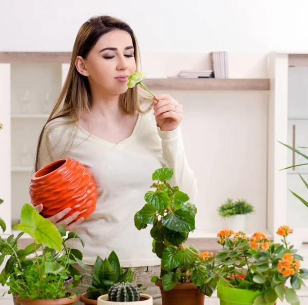 Młoda Kobieta Ogrodnik Roślin Pomieszczeniach — Zdjęcie stockowe