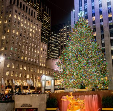 New York - 20 Aralık 2013: Rockefeller Center 20 Aralık ABD'de, New York Noel ağacı. ABD'de en ünlü Noel ağacı Noel ağacı Rockefeller Merkezi olduğunu