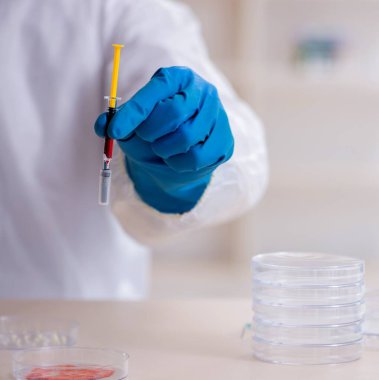 Laboratuvarda çalışan genç erkek kimyager.