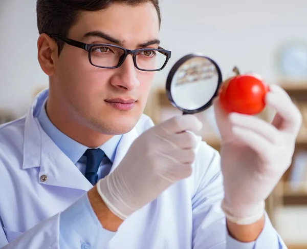 Scientist Working Organic Fruits Vegetables — Stock Photo, Image