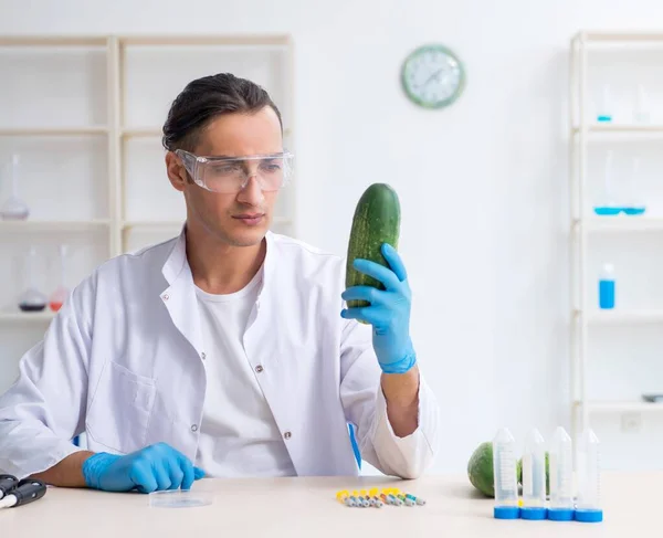 Ekspert Żywienia Mężczyzn Badający Warzywa Laboratorium — Zdjęcie stockowe