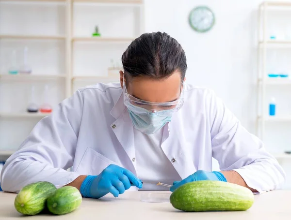 Mannelijke Voedingsdeskundige Die Groenten Test Het Lab — Stockfoto
