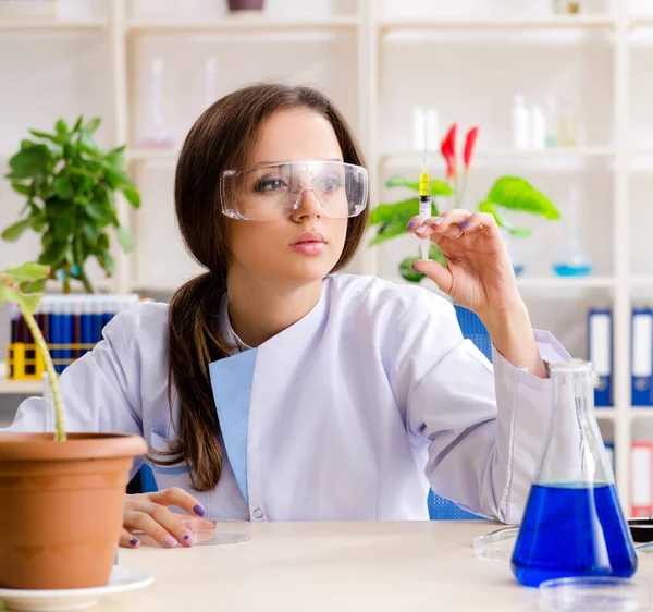 Den Unga Vackra Bioteknikkemisten Som Arbetar Labbet — Stockfoto