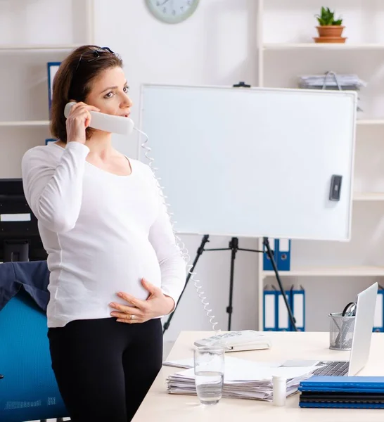 Old Pregnant Woman Working Office — Stock Photo, Image