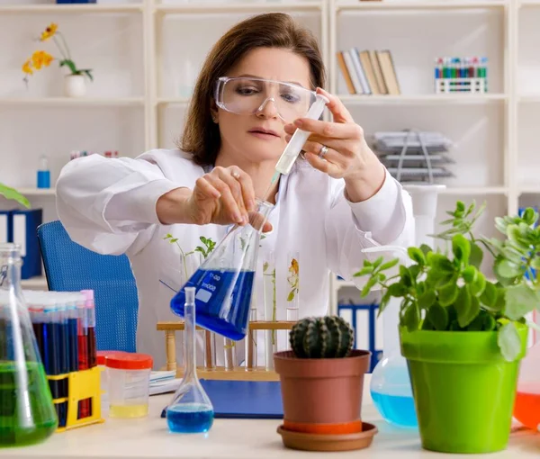 Velha Química Biotecnologia Que Trabalha Laboratório — Fotografia de Stock