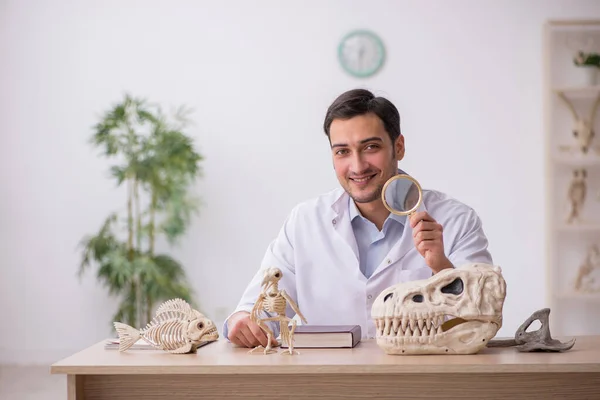 Jovem Estudante Paleontólogo Examinando Animais Antigos Laboratório — Fotografia de Stock