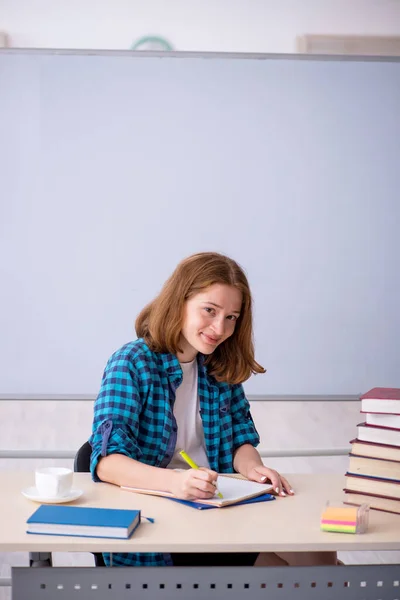 Sınavlara Hazırlanan Genç Bir Kız Öğrenci — Stok fotoğraf