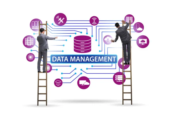 データ管理の概念におけるビジネスマン — ストック写真