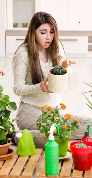 Młoda Kobieta Ogrodnik Roślin Pomieszczeniach — Zdjęcie stockowe