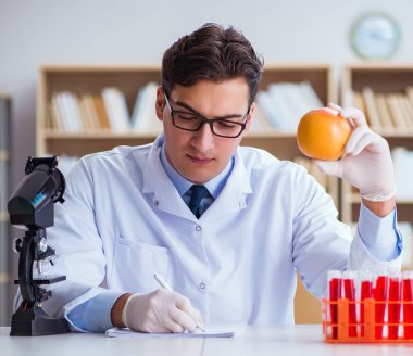 Bilim adamı organik meyve ve sebzeler üzerinde çalışıyor.