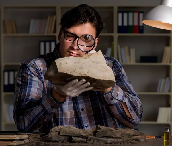 Arqueólogo Que Trabalha Até Tarde Escritório — Fotografia de Stock