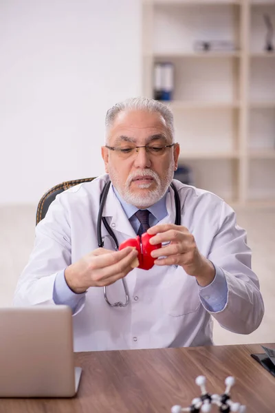 Vecchio Cardiologo Possesso Modello Cuore — Foto Stock