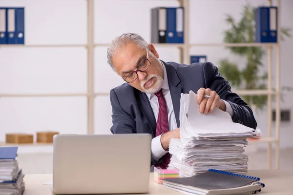 stock image Aged businessman employee working at workplace