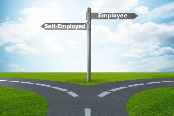 Konzept Der Wahl Von Selbstständigen Gegenüber Der Beschäftigung — Stockfoto